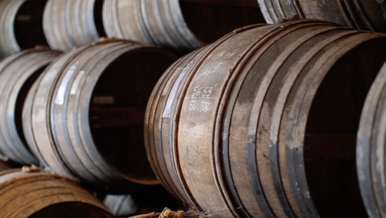 Rémy Martin - Team Up for Excellence