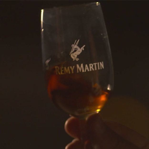 Rémy Martin - Team Up for Excellence